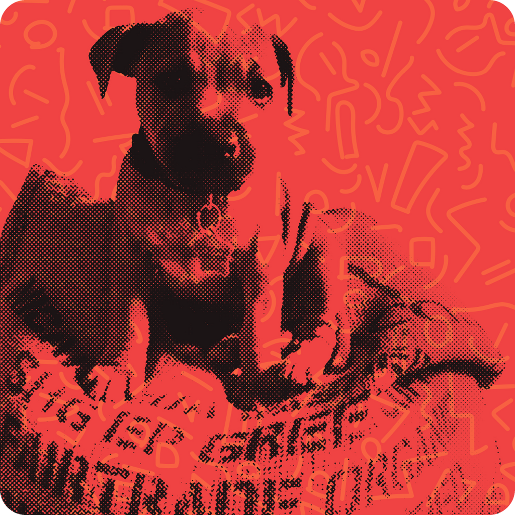 The Lonsdale Street Roasters mascot dog sitting in a fairtrade coffee sack, halftone on coral — Honeybear