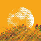 Colombia artwork: halftone sun rising over a coffee-growing hillside, on burnt orange — Lonsdale Street Roasters